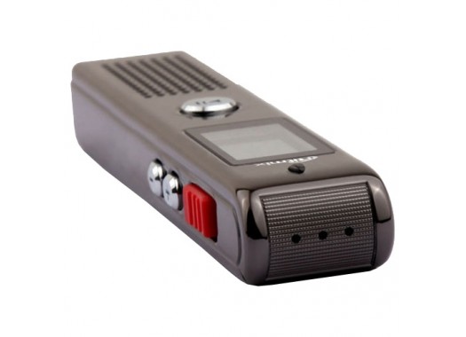 Диктофон Ritmix RR-100 8Gb